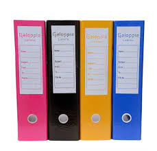 Regular Box File Big